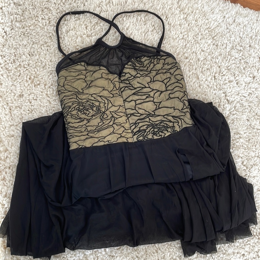 Weissman Dance Costume - image 1